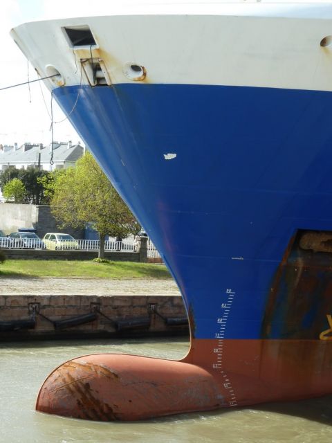 Bulbe MN Pelican - 24 avril 2012 (01).JPG